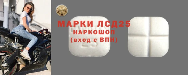 сатива Медногорск