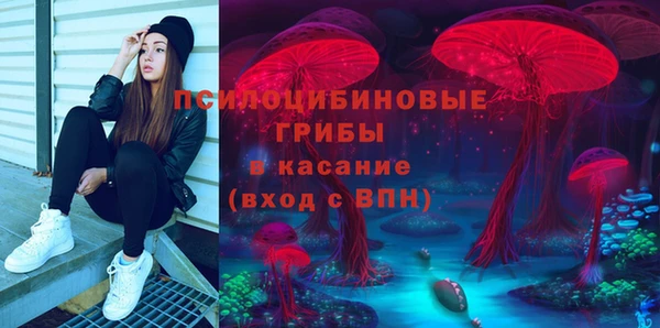 ГАЛЛЮЦИНОГЕННЫЕ ГРИБЫ Вязники