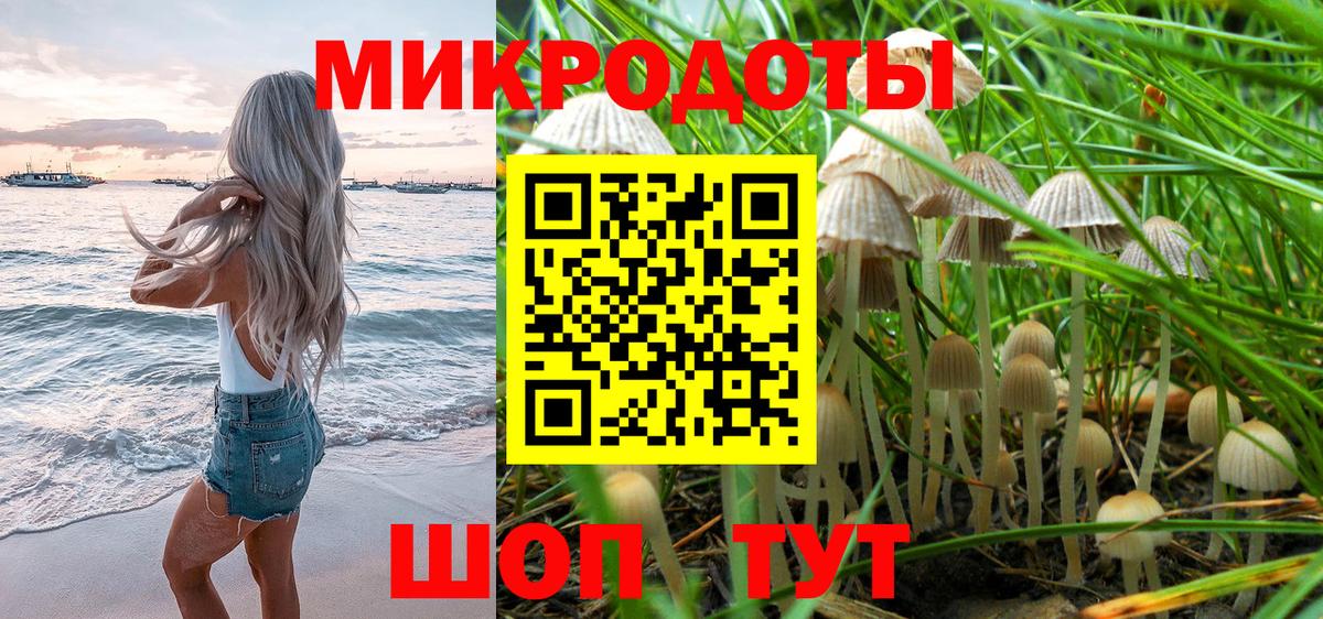 Партизанск  Псилоцибиновые грибы ЛСД  Вход с VPN 
