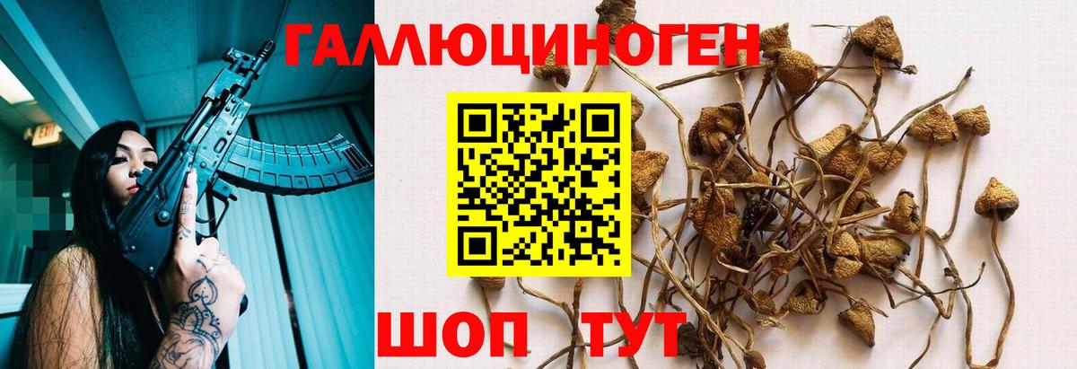 Кетыч  Плюхи  CBD масло  Alpha PVP  МЕФ  Партизанск  Вход с VPN  Бошки Шишки  Ешки  КОКАИН 