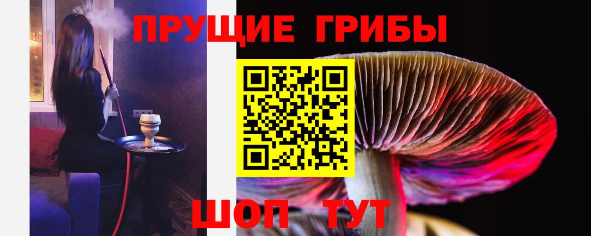 Псилоцибиновые грибы прущие грибы Партизанск